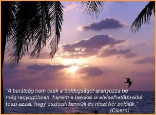 Barátság