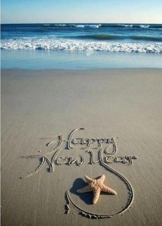 Happy new year